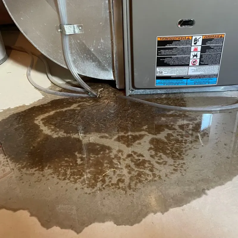Pipe Burst and Leak Restoration in Wyoming, DE