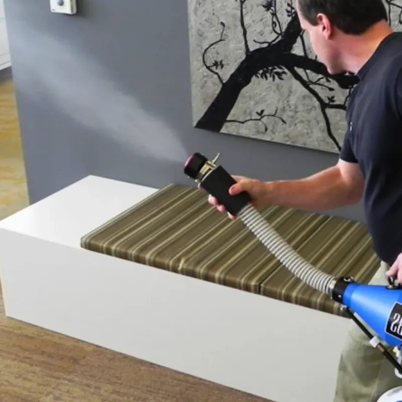 Professional Odor Removal in Wyoming, DE
