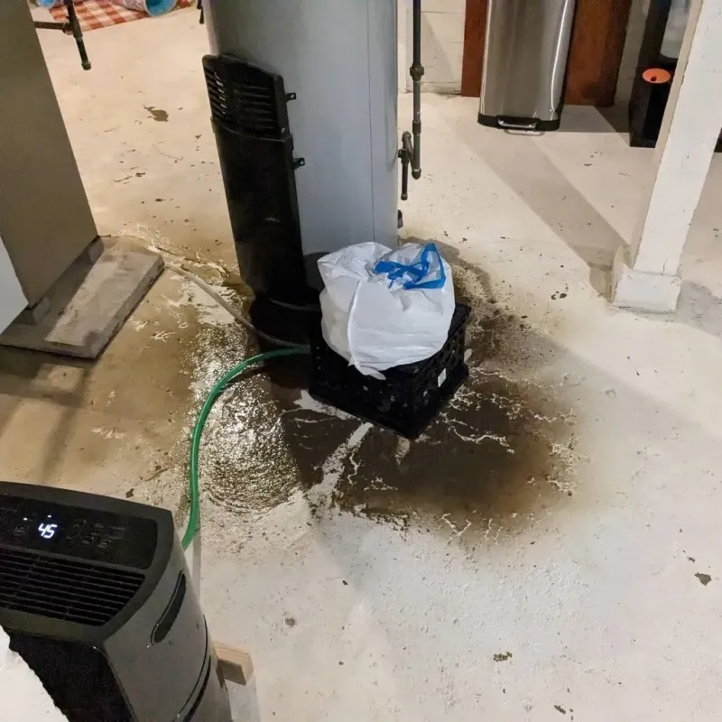 Sewage Backup Cleanup Service in Wyoming, DE